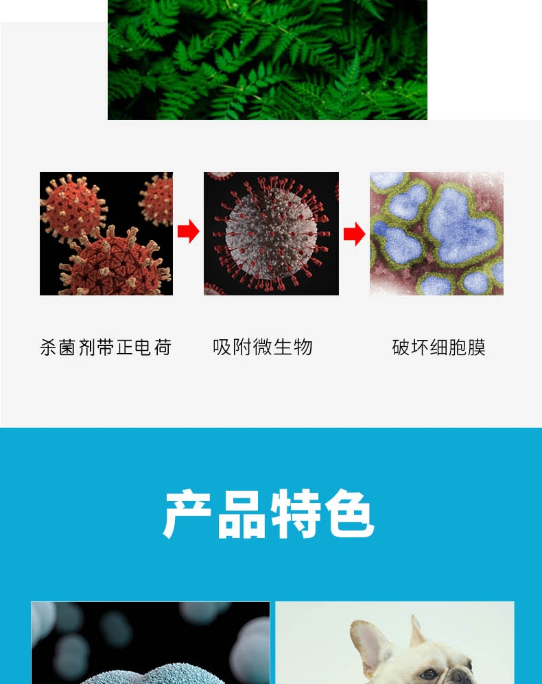 金盾贝美特喷剂100ml