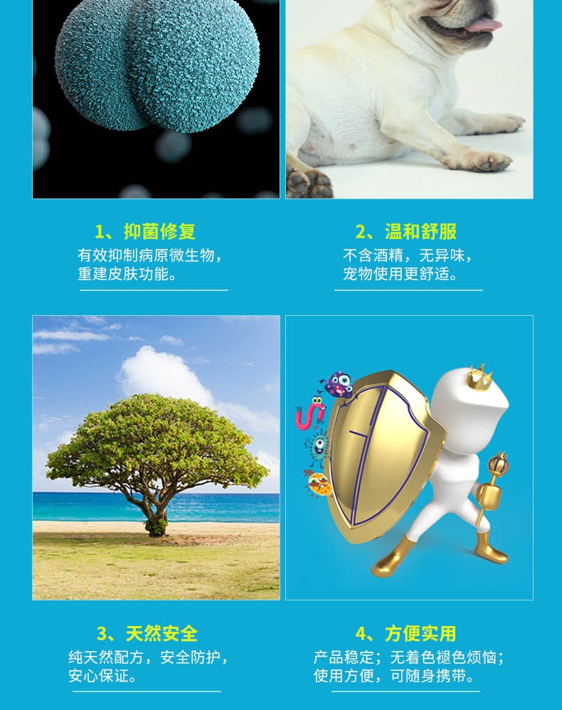 金盾贝美特喷剂100ml