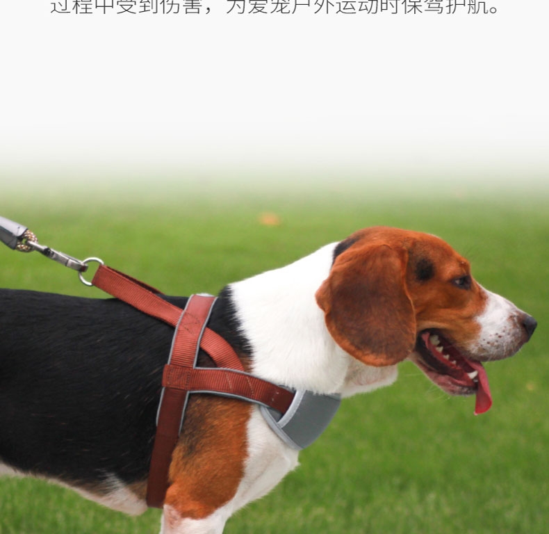 优莱仕 T7保护狗胸背带
