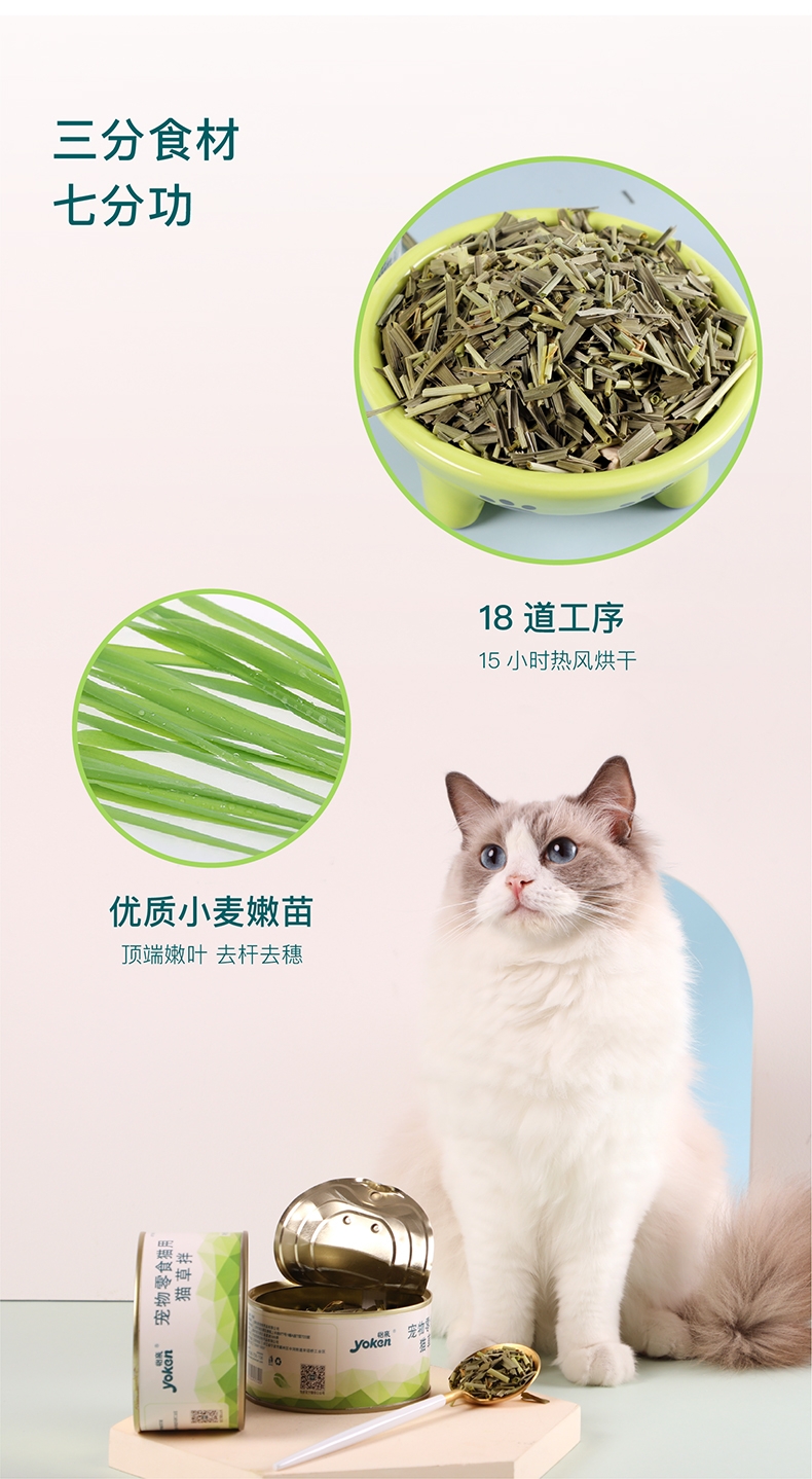 怡亲 宠物零食猫草 20g 猫零食