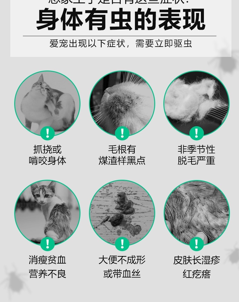 小宠 蚤立清滴剂猫用0.5ml1-5kg