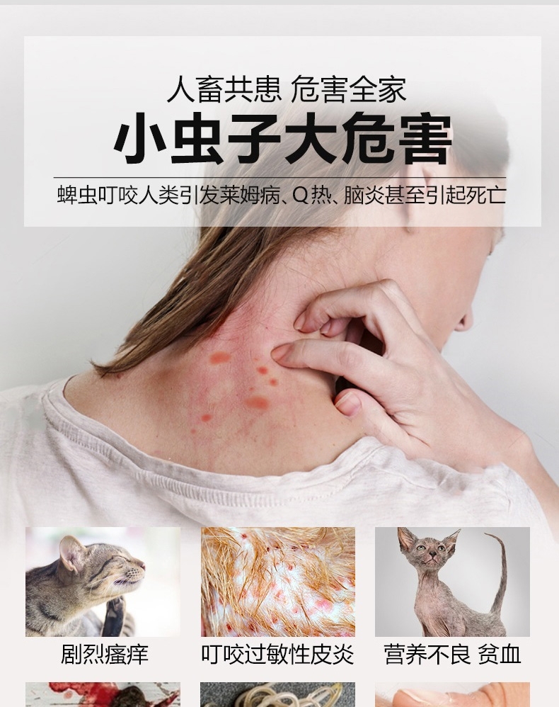 小宠 蚤立清滴剂猫用0.5ml1-5kg