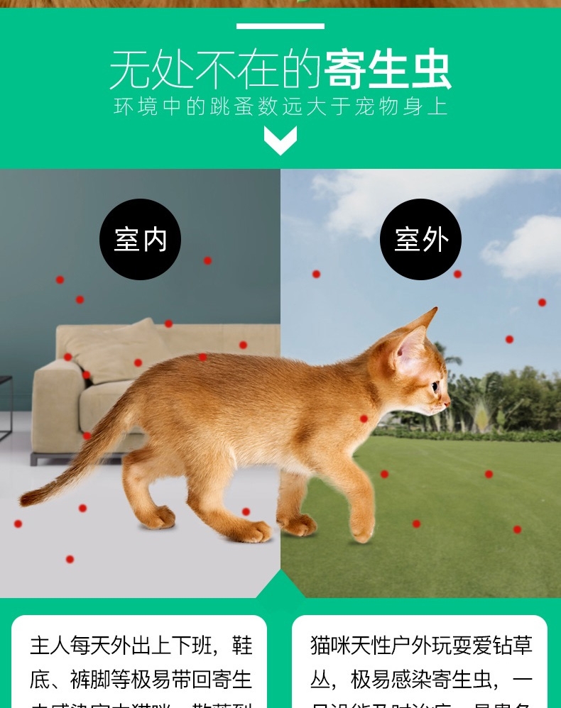 小宠 蚤立清滴剂猫用0.5ml1-5kg