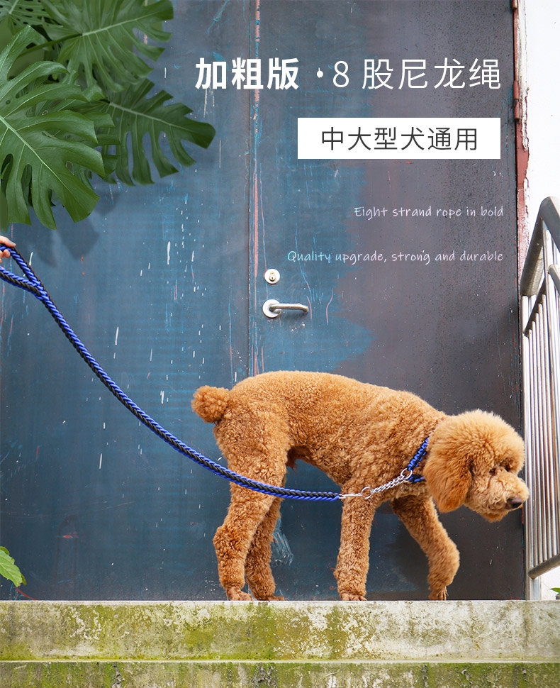 多可特 思哲加粗编织牵引绳套装 中大型犬适用