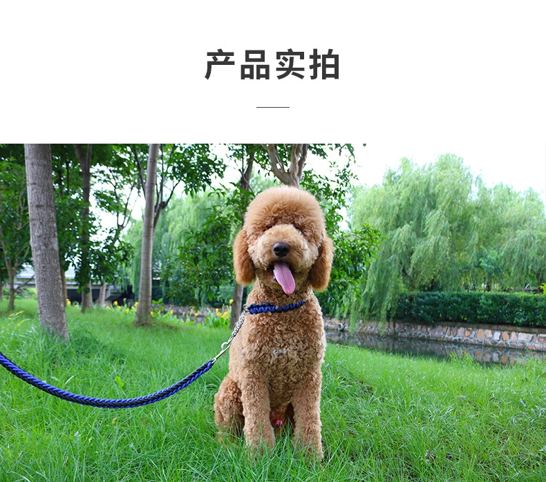 多可特 思哲加粗编织牵引绳套装 中大型犬适用