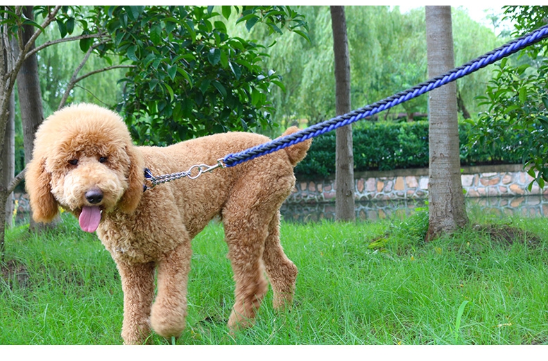 多可特 思哲加粗编织牵引绳套装 中大型犬适用