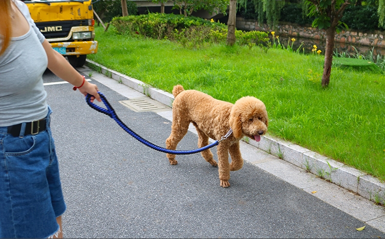多可特 思哲加粗编织牵引绳套装 中大型犬适用