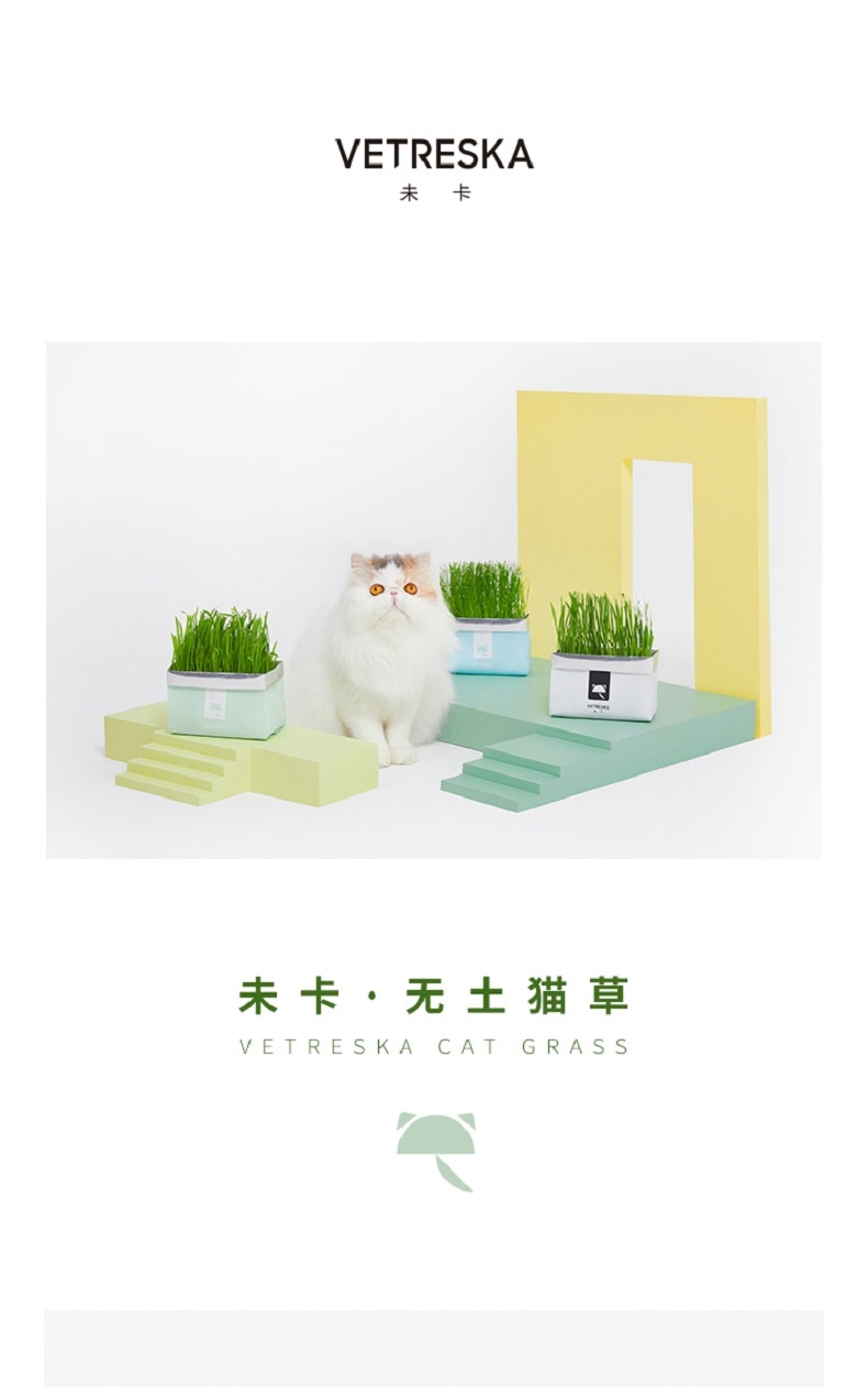 未卡 网红黑麦猫草 80g/袋