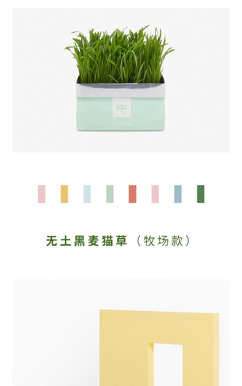 未卡 网红黑麦猫草 80g/袋