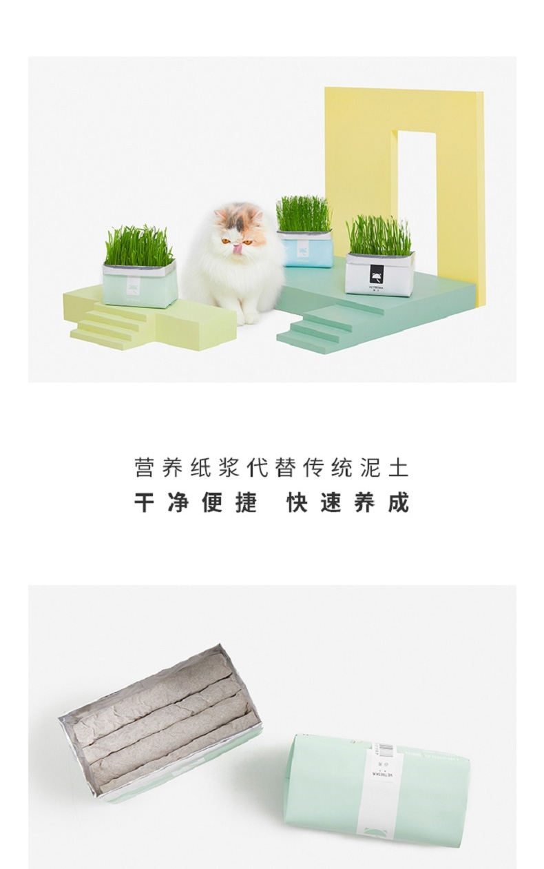 未卡 网红黑麦猫草 80g/袋