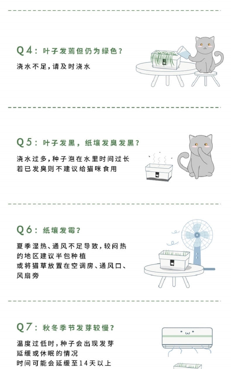 未卡 网红黑麦猫草 80g/袋