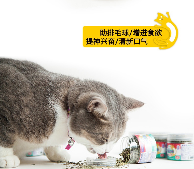 它它 猫薄荷叶 6g 猫零食 助排毛球 清新口气