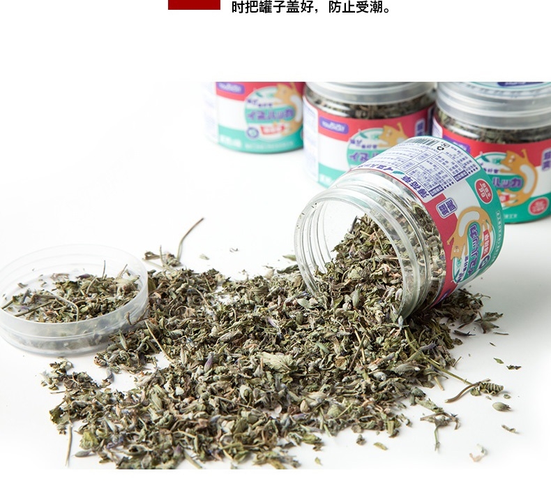 它它 猫薄荷叶 6g 猫零食 助排毛球 清新口气