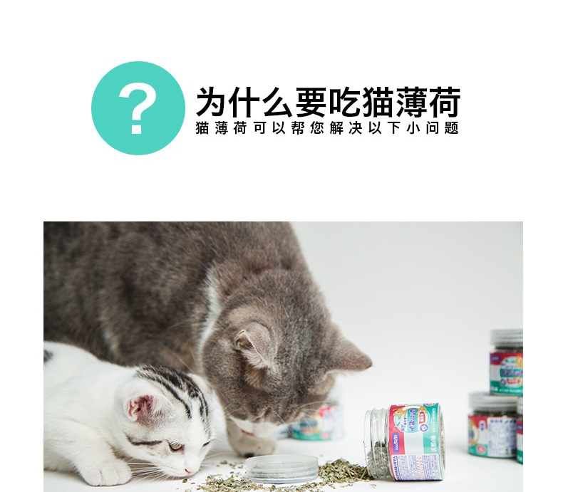 它它 猫薄荷叶 6g 猫零食 助排毛球 清新口气