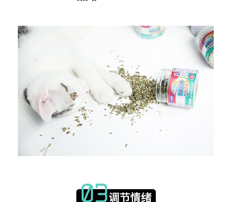 它它 猫薄荷叶 6g 猫零食 助排毛球 清新口气