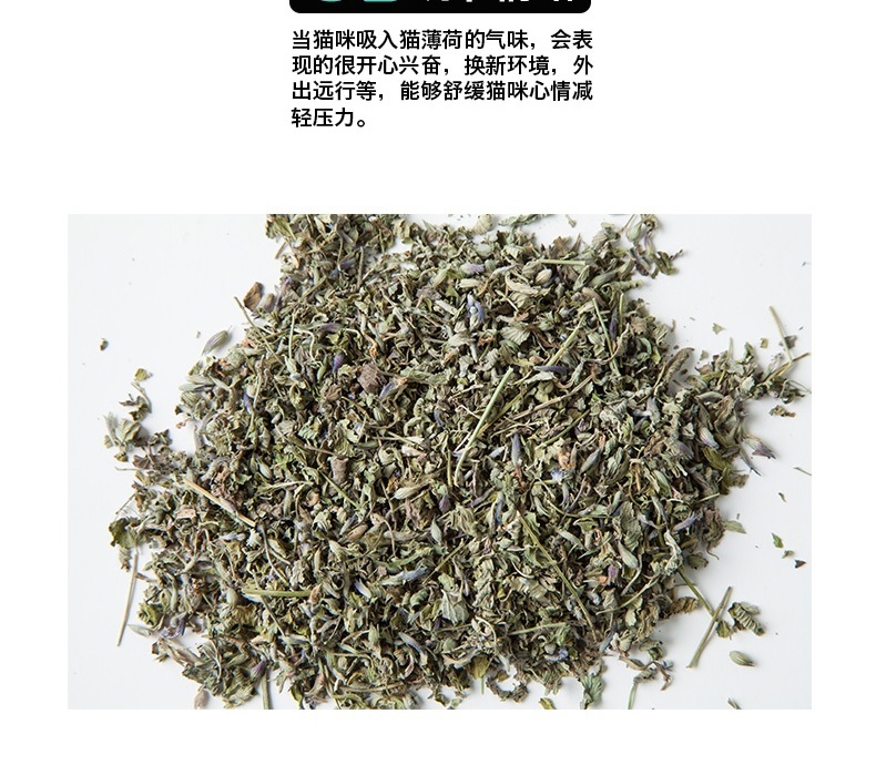 它它 猫薄荷叶 6g 猫零食 助排毛球 清新口气