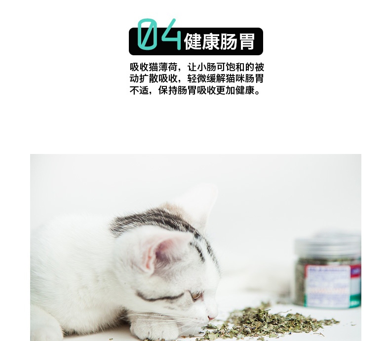 它它 猫薄荷叶 6g 猫零食 助排毛球 清新口气