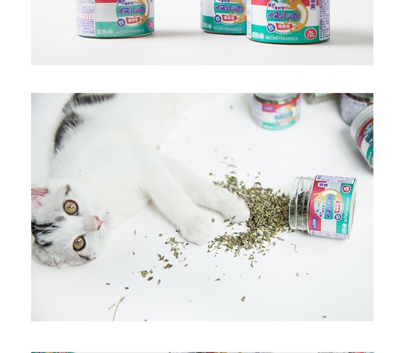 它它 猫薄荷叶 6g 猫零食 助排毛球 清新口气