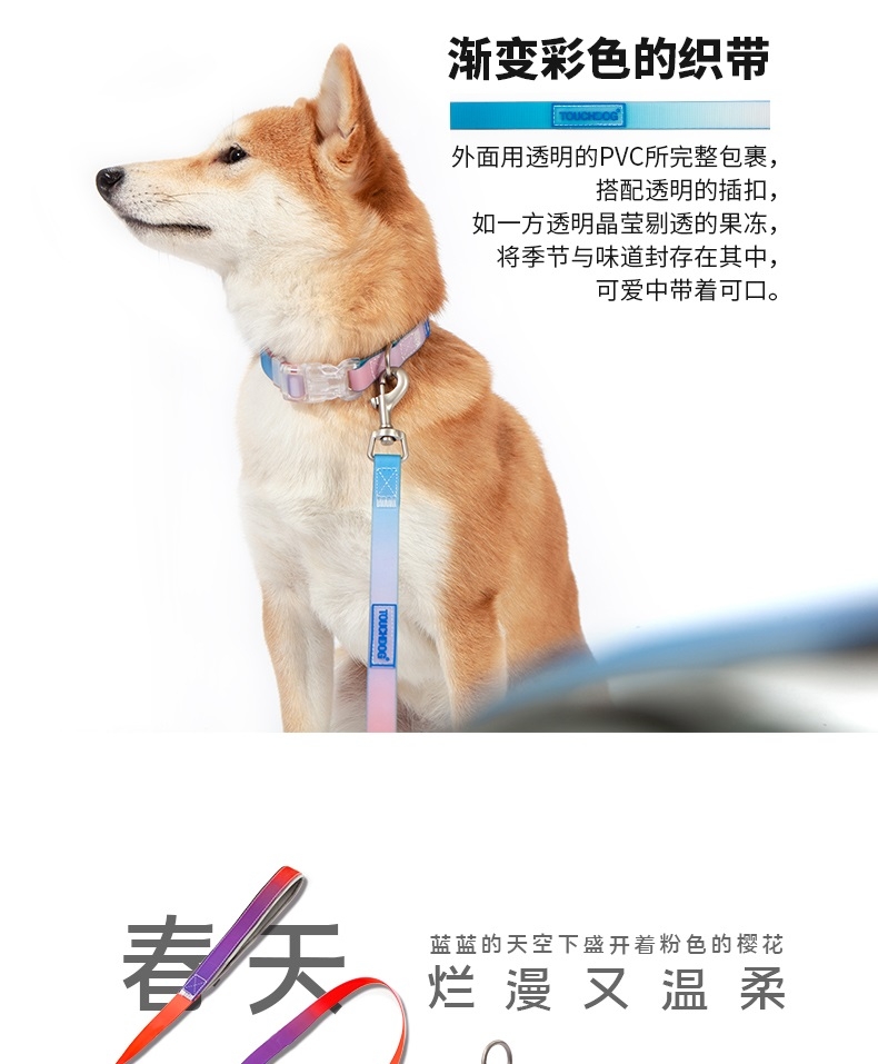 它它Touchdog 七彩PVC项圈套装