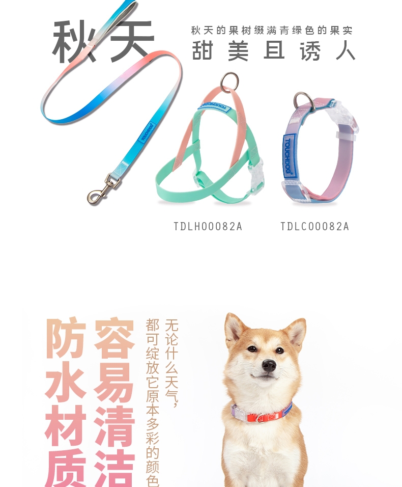 它它Touchdog 七彩PVC项圈套装