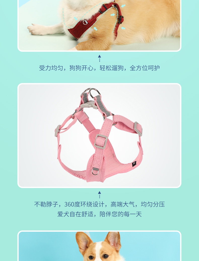 贝瑞 HP082-4纯棉反光狗胸背带套装