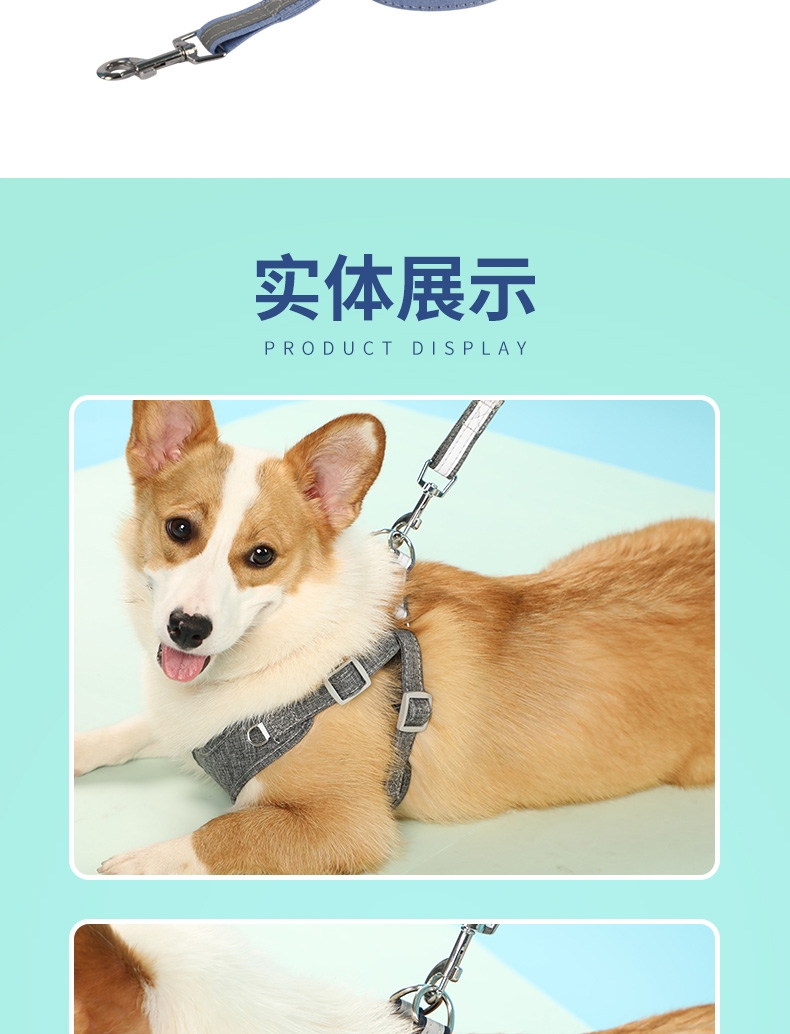 贝瑞 HP082-4纯棉反光狗胸背带套装