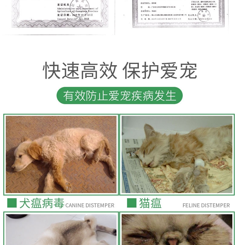 恩倍多 过硫酸氢钾复合物粉 5g*10 消毒抑菌 可拖地