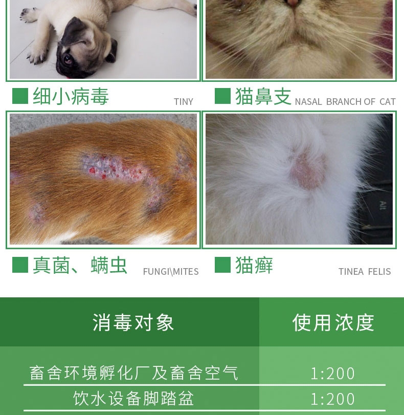 恩倍多 过硫酸氢钾复合物粉 5g*10 消毒抑菌 可拖地