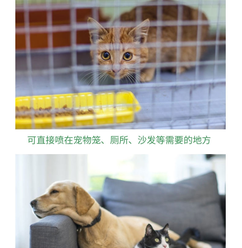 恩倍多 过硫酸氢钾复合物粉 5g*10 消毒抑菌 可拖地