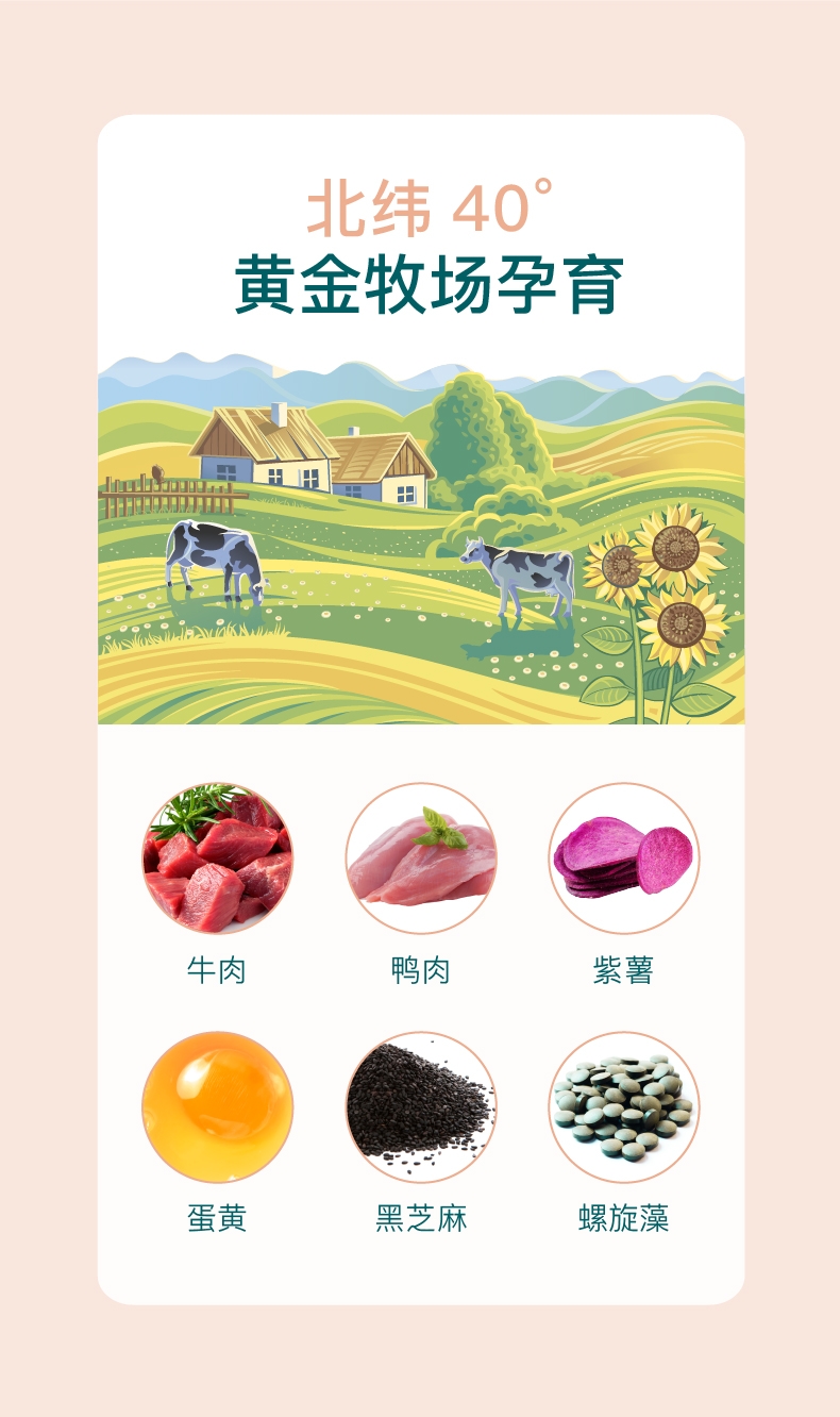 怡亲Yoken 碳烤黑芝麻牛肉粒补钙磨牙狗零食 300g