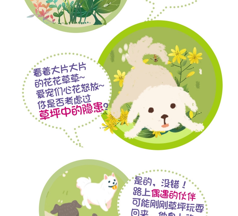 JOYPET 纯植物精油项圈1个 精油可用约70天 犬猫通用