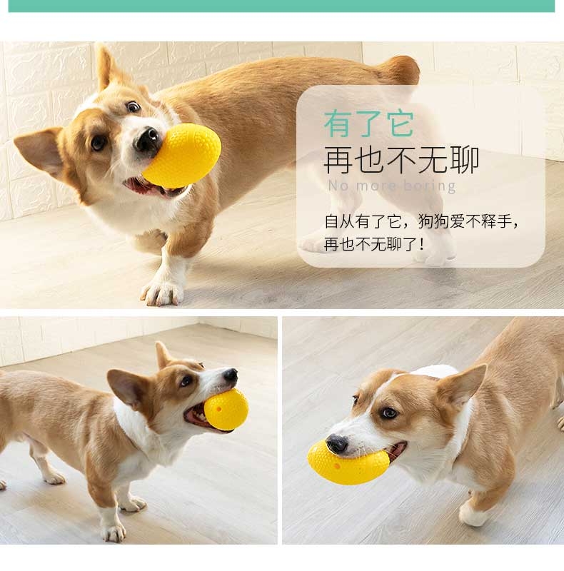 宜特 互动寻回狗玩具球