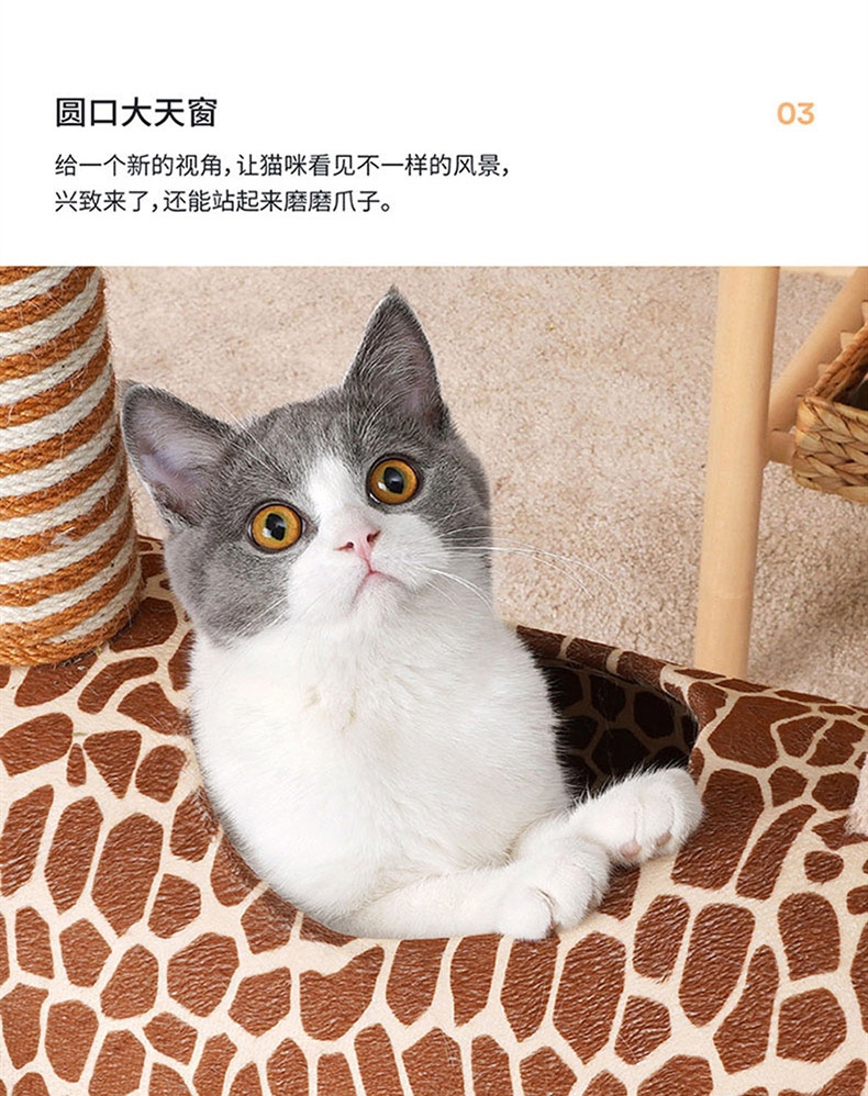 ZEZE 长颈鹿猫爬架 节省空间 趣味玩乐