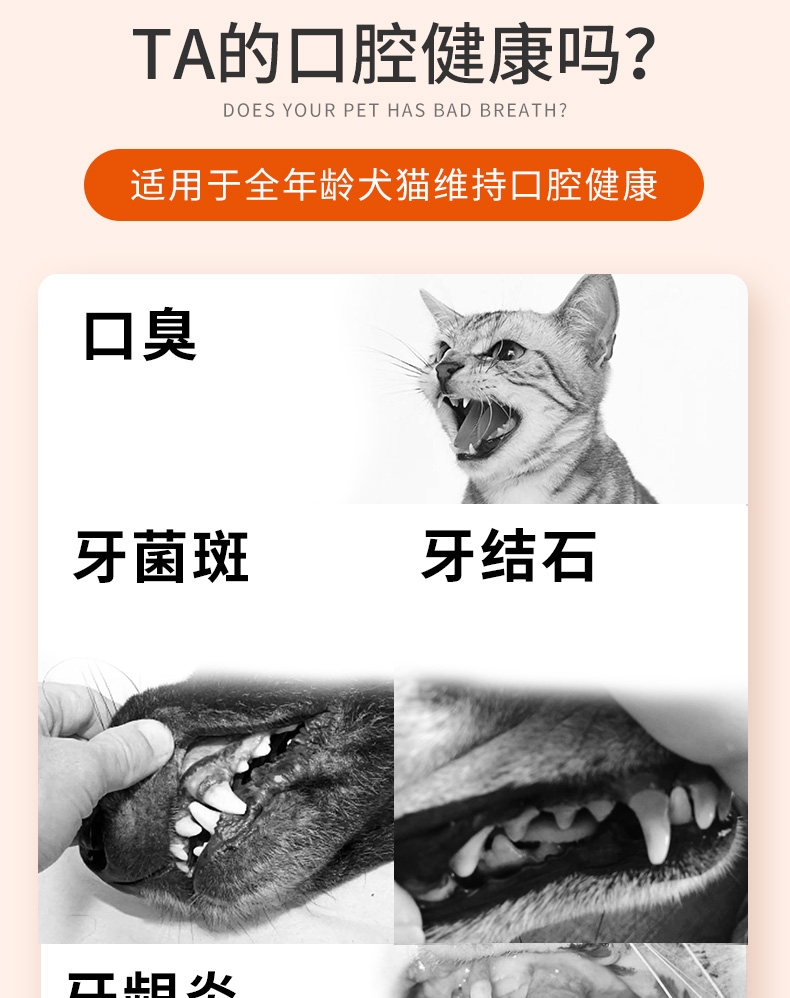 红狗 健口乐宠物洁牙粉 40g 犬猫通用 清洁牙齿