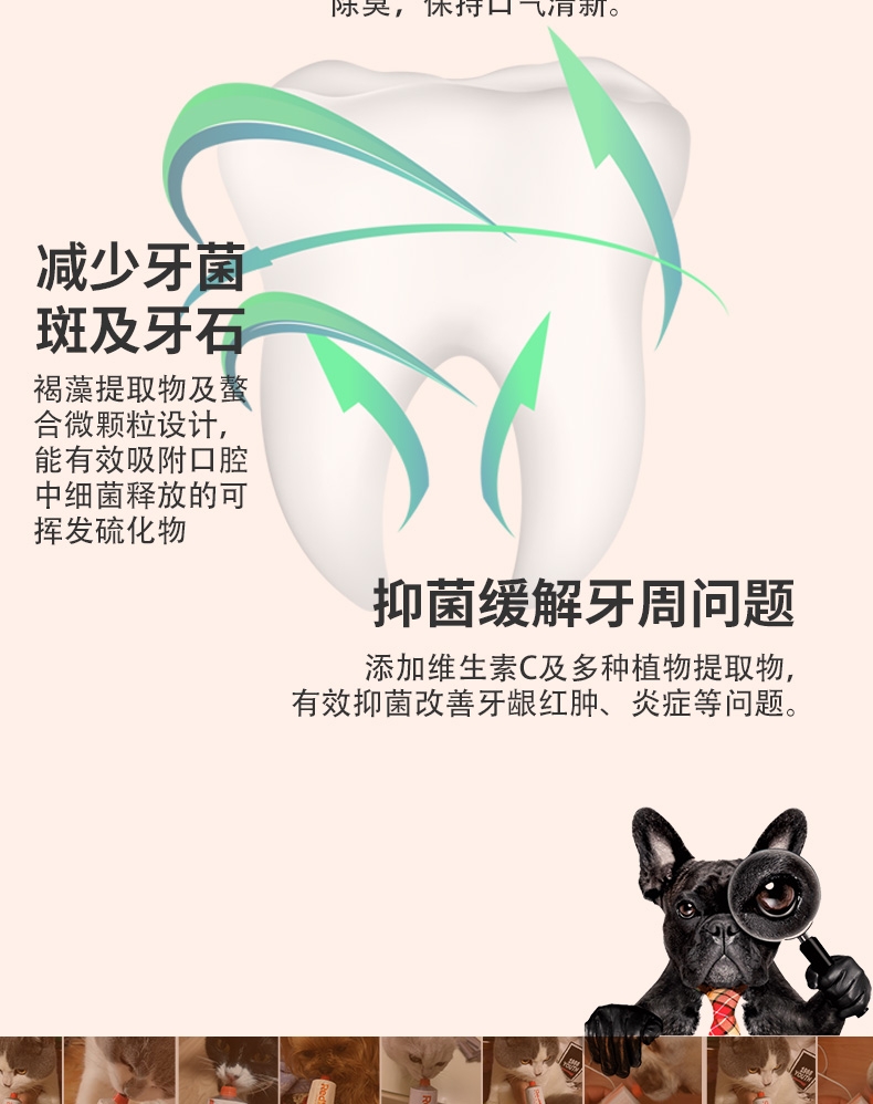 红狗 健口乐宠物洁牙粉 40g 犬猫通用 清洁牙齿
