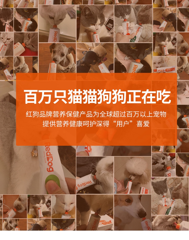 红狗 健口乐宠物洁牙粉 40g 犬猫通用 清洁牙齿