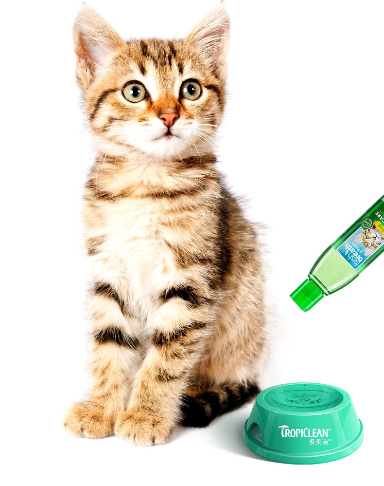 多美洁 猫专用 天然清新口气洁齿水 236ml 美国进口