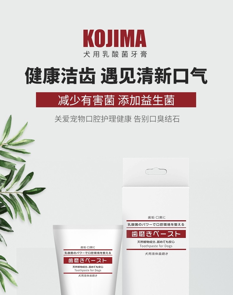 KOJIMA 狗用乳酸菌牙膏 40G 清新口气 减少细菌增生