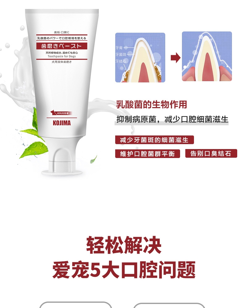 KOJIMA 狗用乳酸菌牙膏 40G 清新口气 减少细菌增生