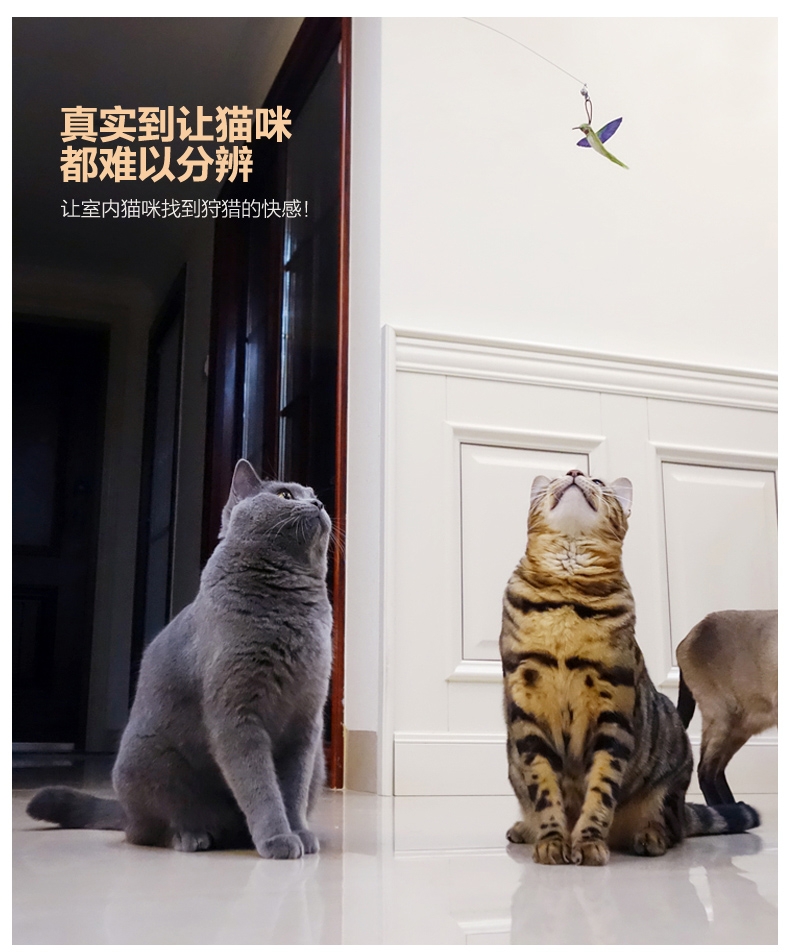 田田猫 弹簧长杆逗猫棒替换装 配件