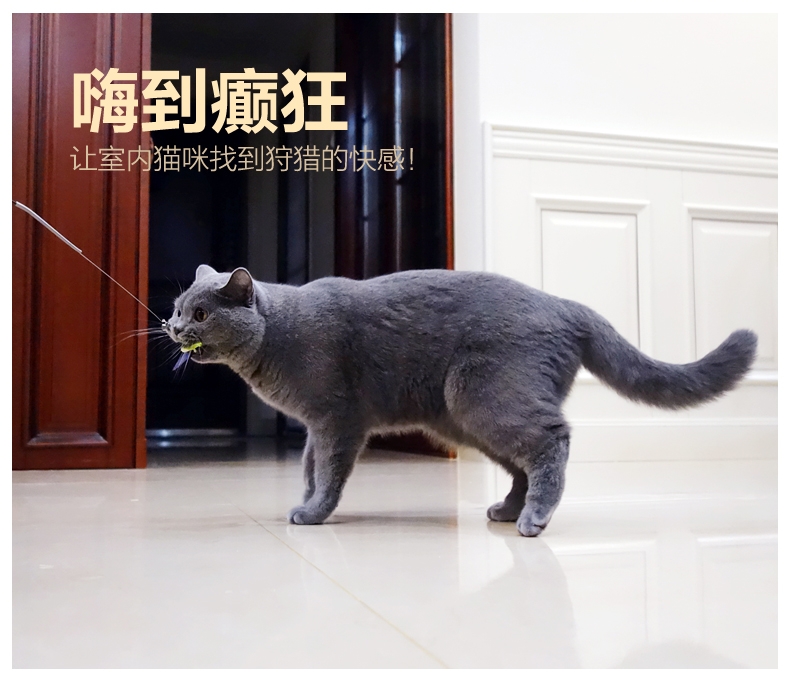 田田猫 弹簧长杆逗猫棒替换装 配件