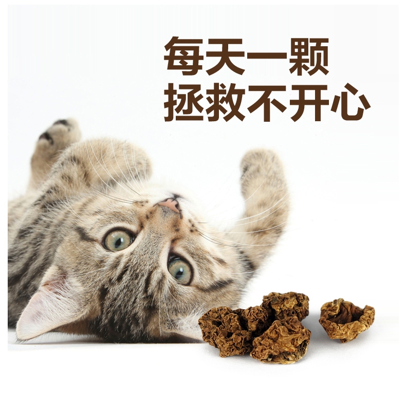 田田猫 天然虫瘿果 20g 猫零食