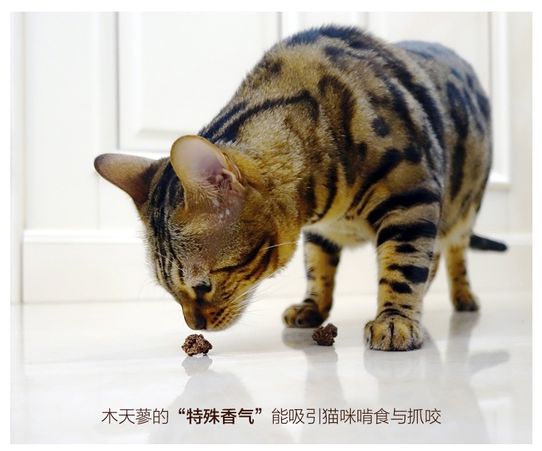 田田猫 天然虫瘿果 20g 猫零食
