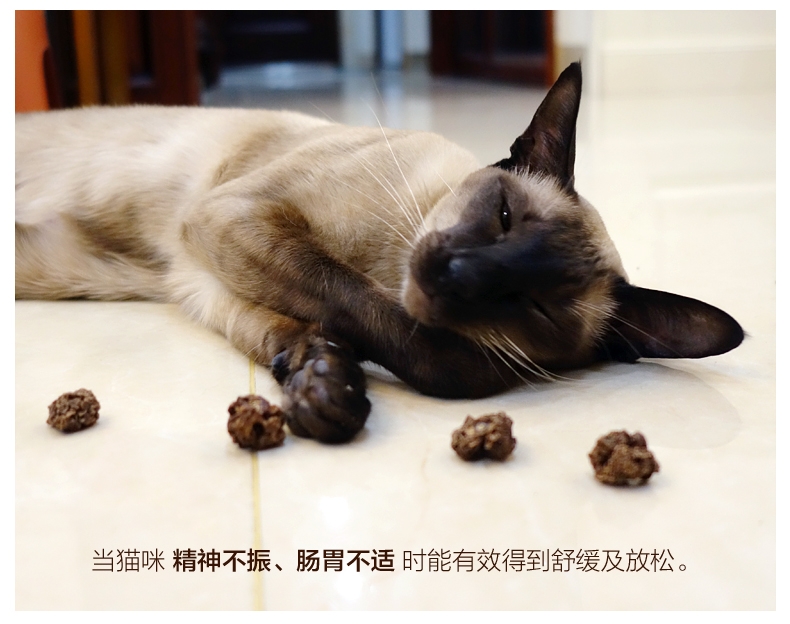 田田猫 天然虫瘿果 20g 猫零食