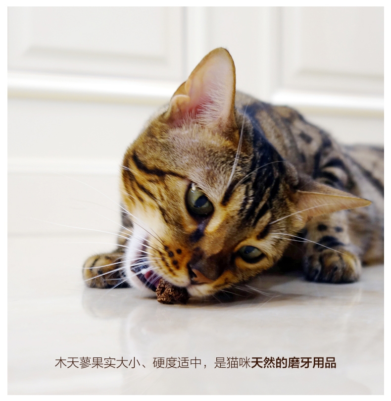 田田猫 天然虫瘿果 20g 猫零食