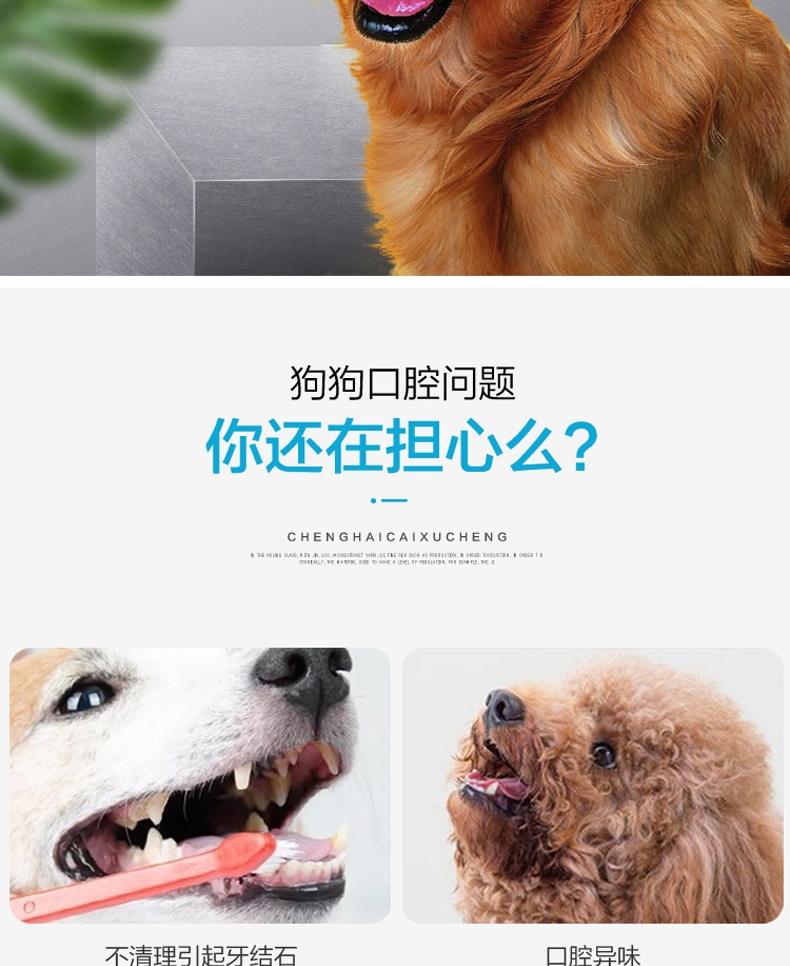 戏宠 可刷酱宠物独处啃咬尼龙骨 磨牙洁齿 材料安心