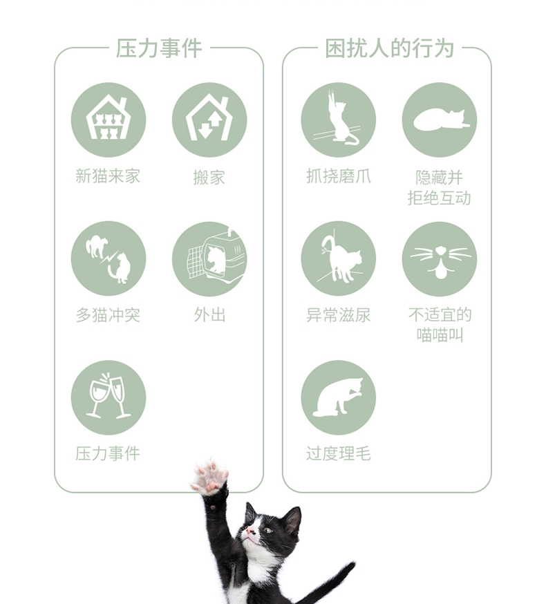 维克昵宝扩散套装恒温扩散器1个+扩散液48ml/瓶