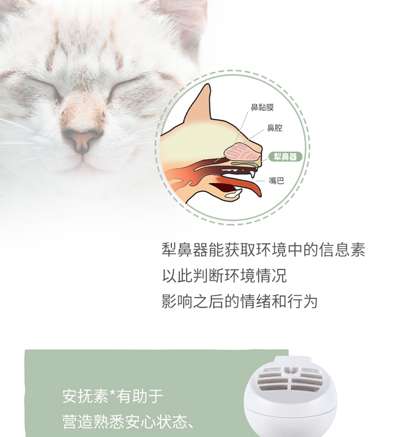 维克昵宝扩散套装恒温扩散器1个+扩散液48ml/瓶