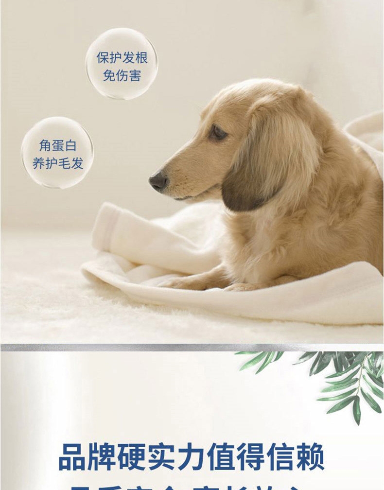 倍珍保 优宠靓氨基酸美毛颗粒 150g 滋养发根 护肤亮毛 2022/4/10到期