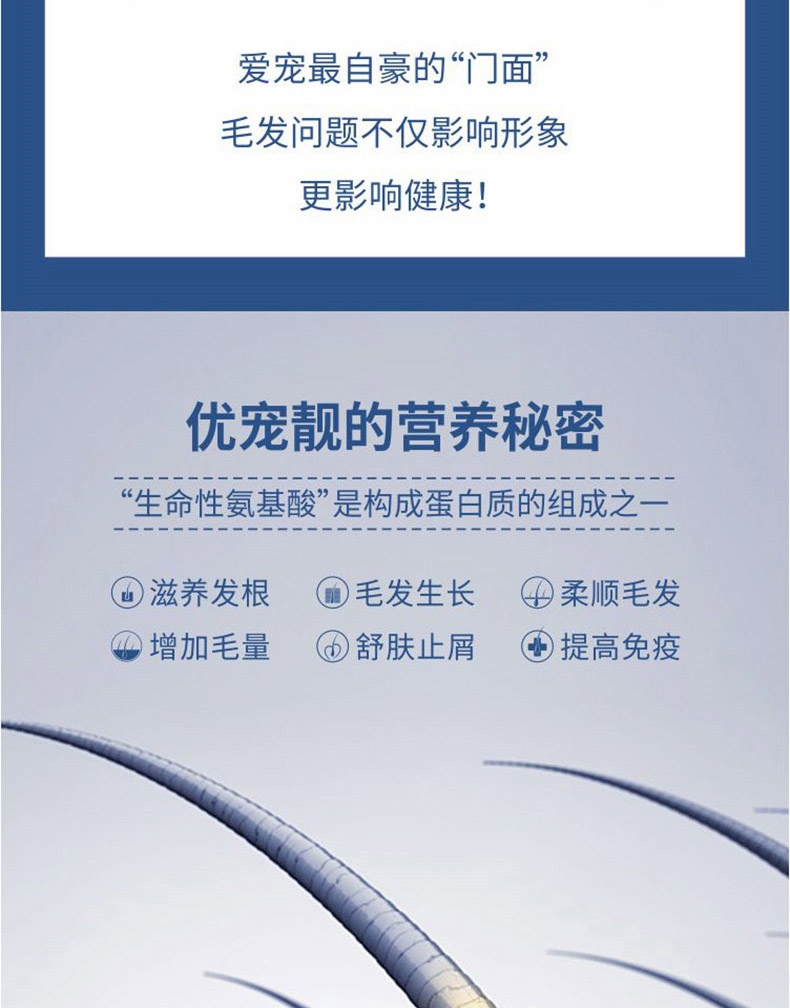倍珍保 优宠靓氨基酸美毛颗粒 150g 滋养发根 护肤亮毛 2022/4/10到期